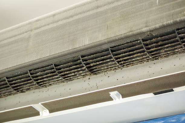 Best Best Air Duct Cleaning Near Me  in Port Huron, MI